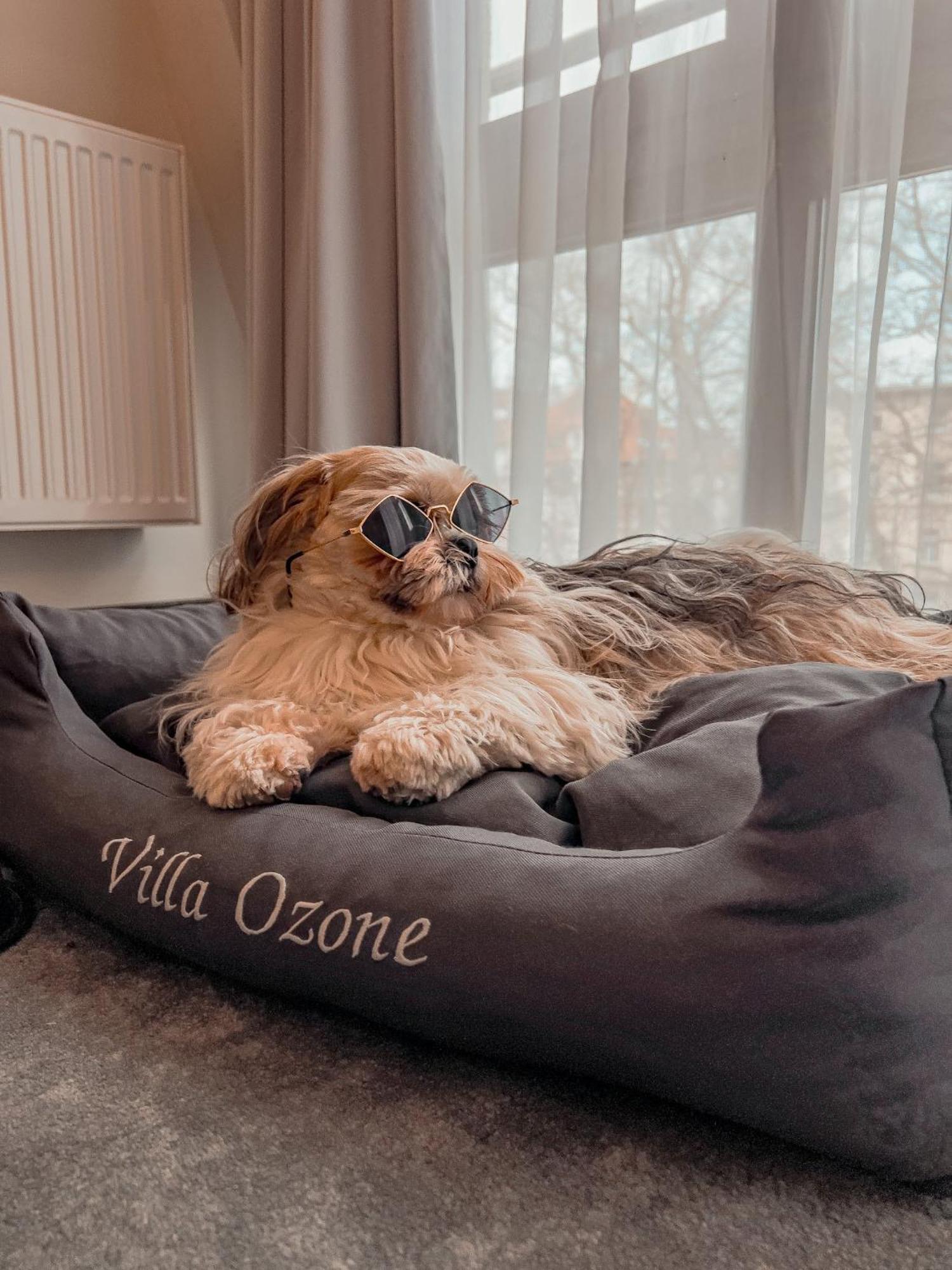 Villa Ozone Sopot Kültér fotó