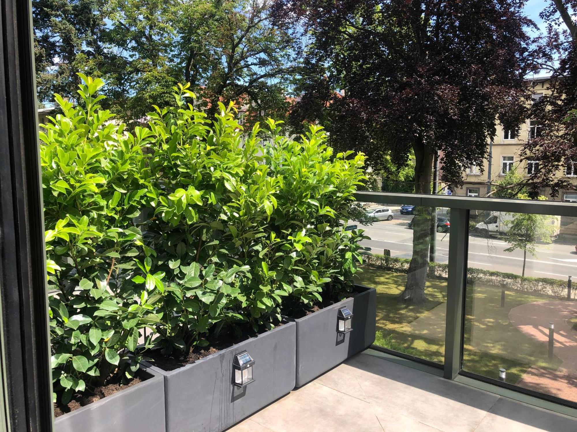 Villa Ozone Sopot Kültér fotó